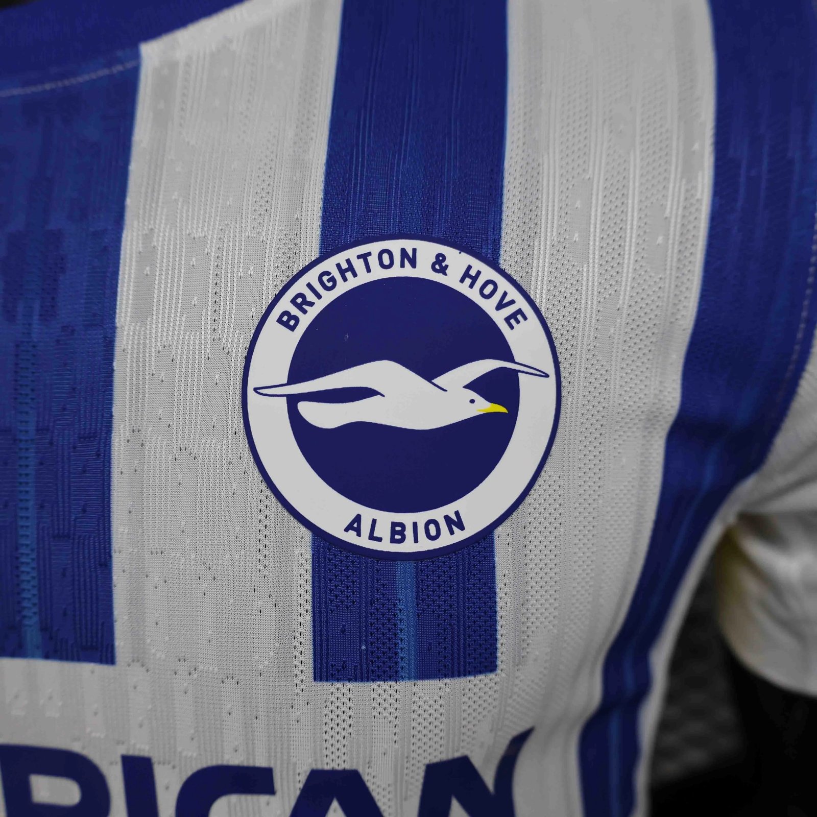 Brighton & Hove Albion Authentic Football Jersey Home Shirt 2024/25