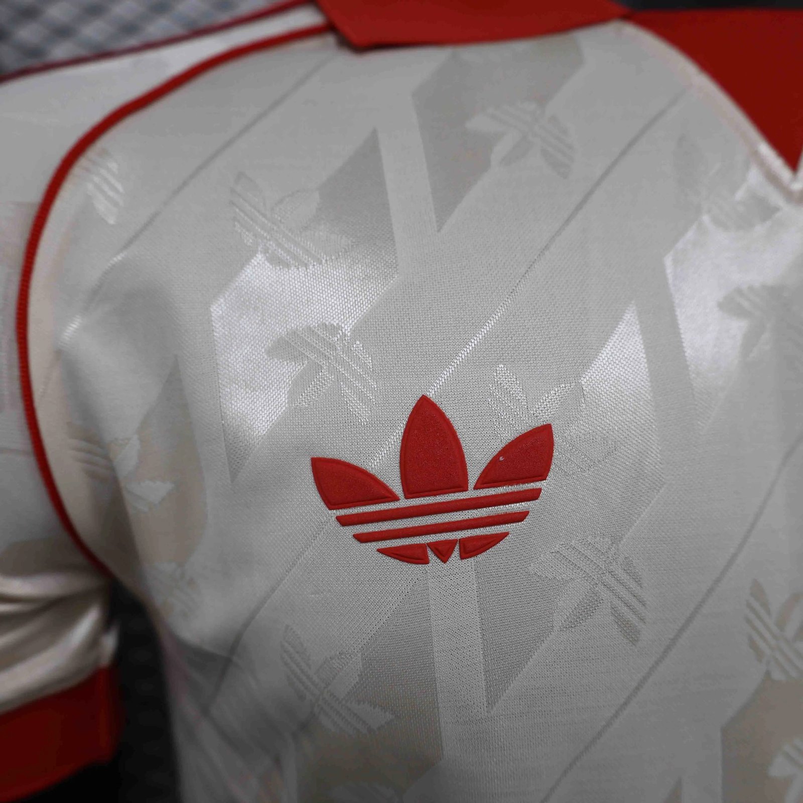 Bayern Munich Special Edition Jersey Player Version 2024/25