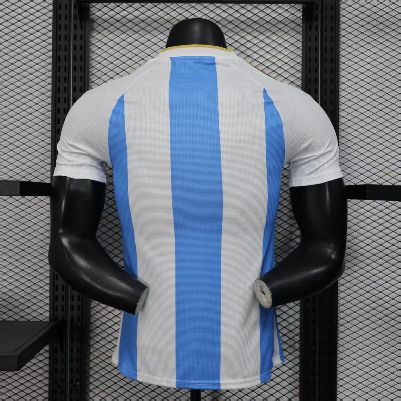 Argentina Authentic Soccer Jersey Home Shirt 2025