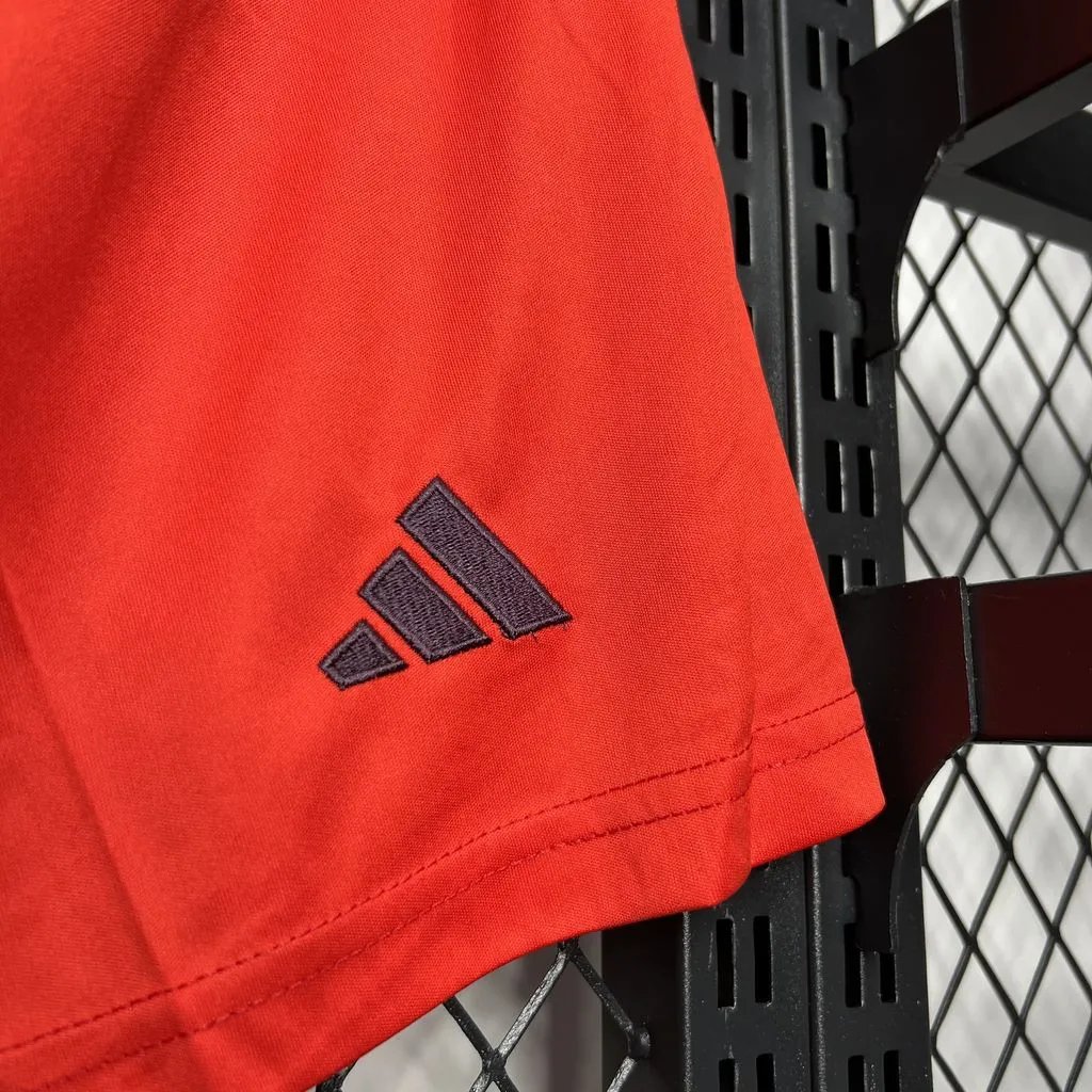 26c22423b9dcd95733ee1a41e217fade0ecf2e14 Bayern Munich Soccer Shorts Custom Home 2024/25