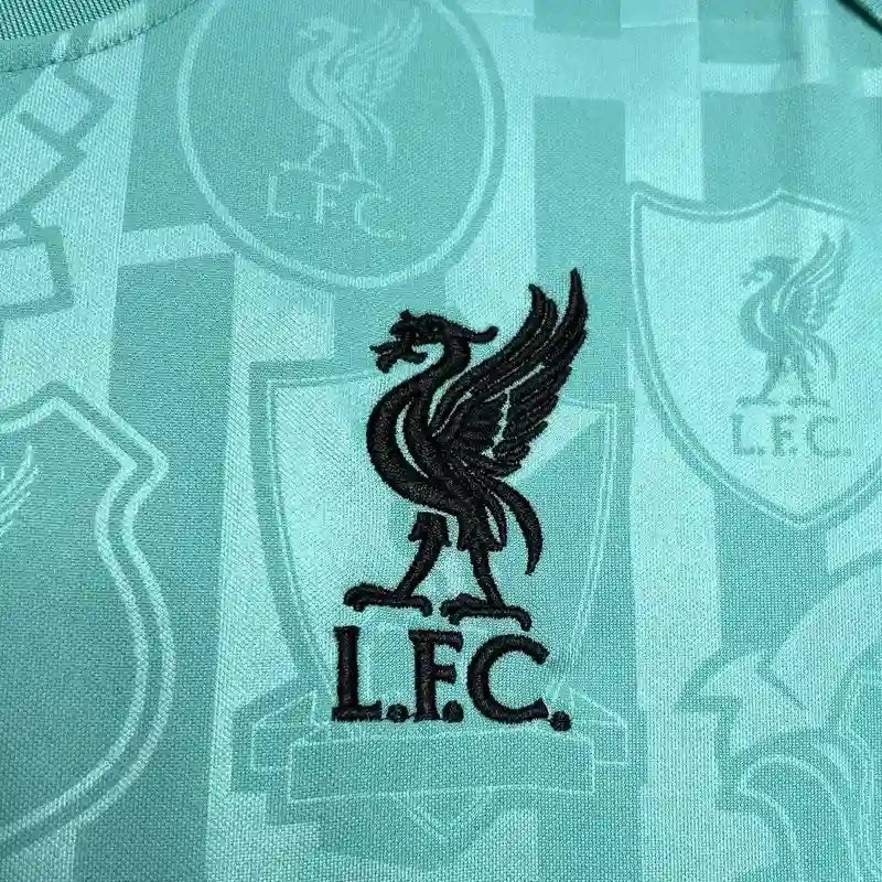 Liverpool Football Jersey Training Custom Shirt 2024/25