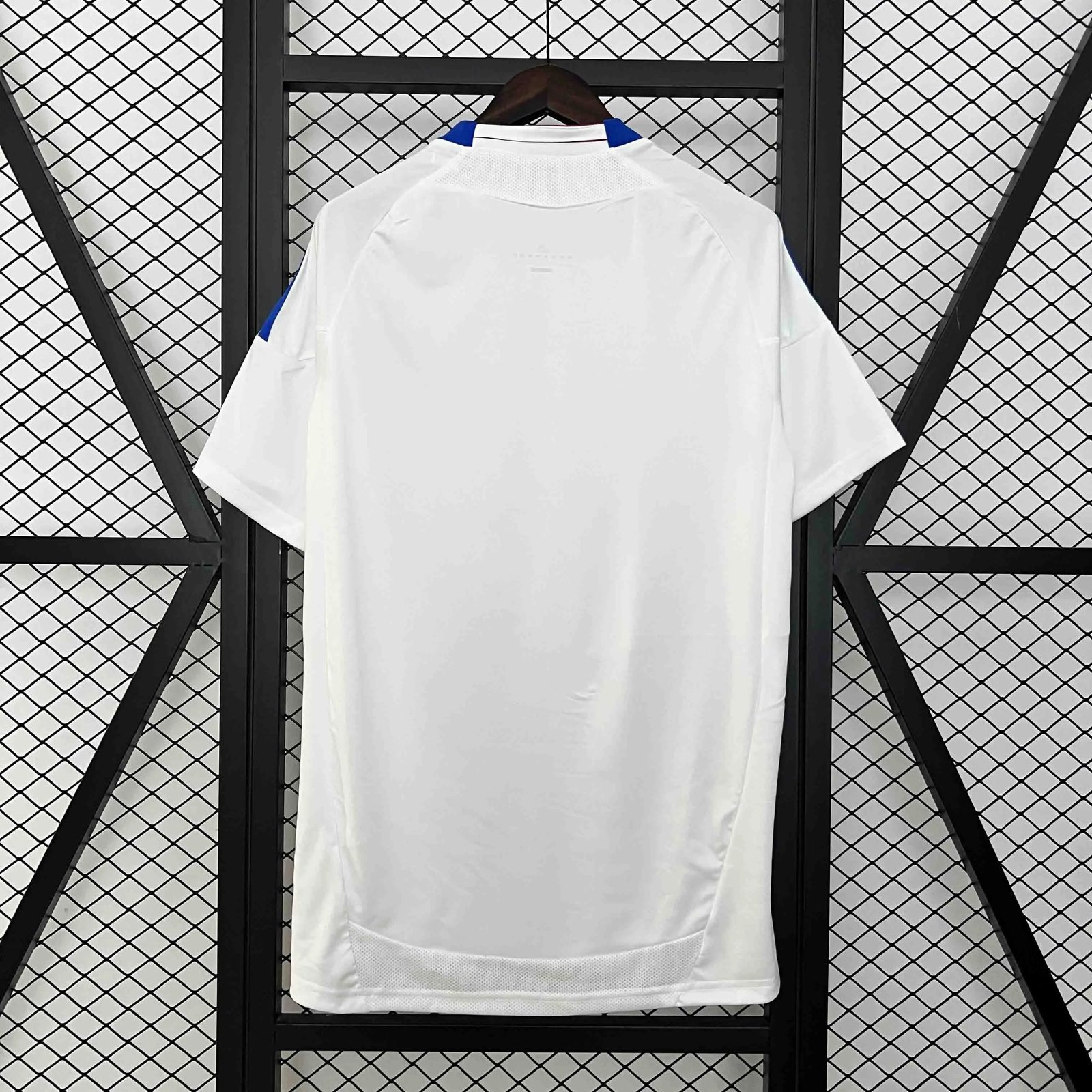 Olympique Lyonnais Retro Football Jersey Home Custom Shirt 2010-11