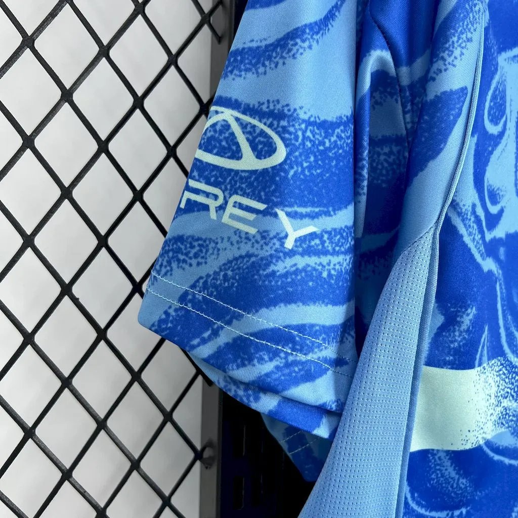 Tigres UANL Soccer Jersey Away Custom Shirt 2025/26