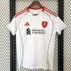Liverpool Football Jersey Away Custom Shirt 2025/26