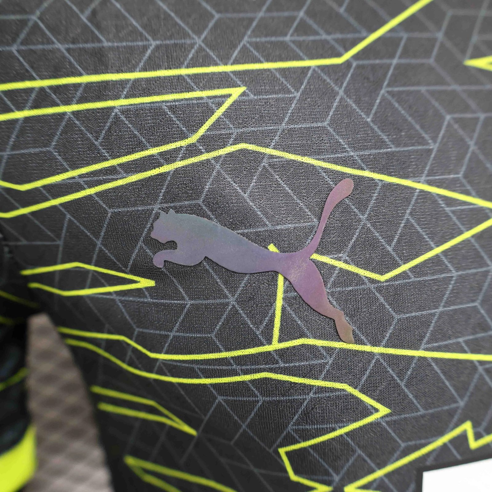 Borussia Dortmund Special Jersey Player Version 2024/25