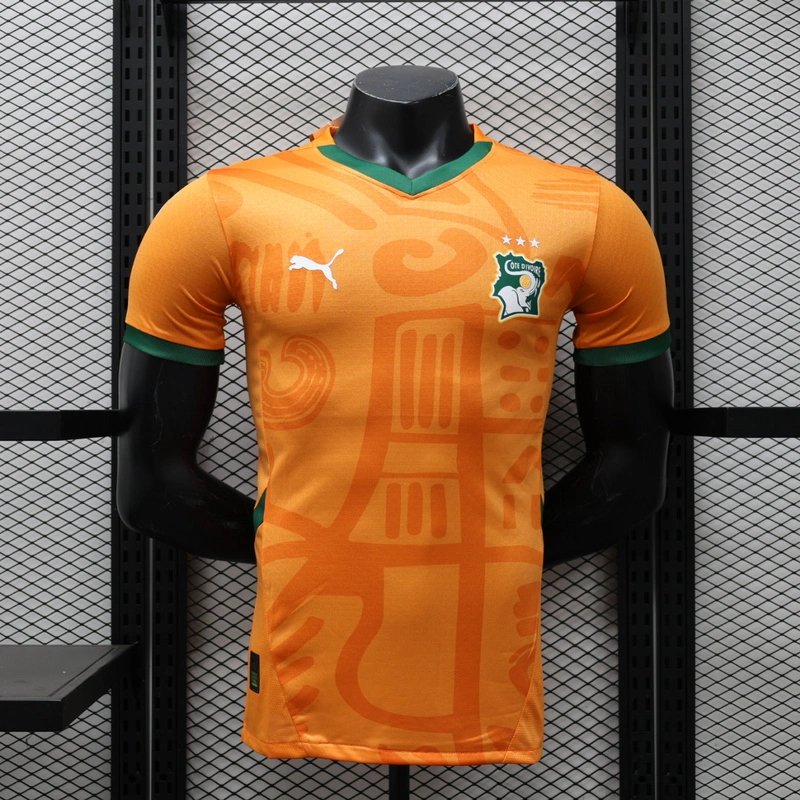 54d829780bafdad683533ca1ed17e34a91b5010c Ivory Coast Authentic Soccer Jersey Home Shirt 2024