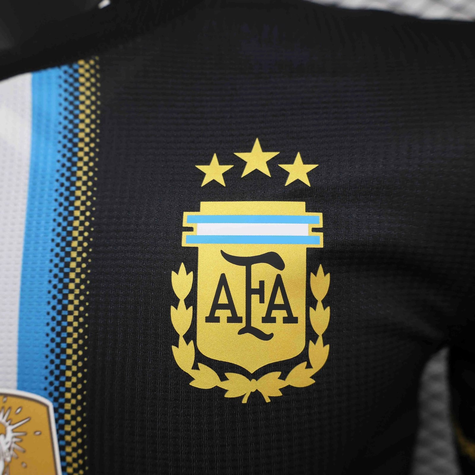 Argentina Authentic Soccer Jersey Special Edition 2024